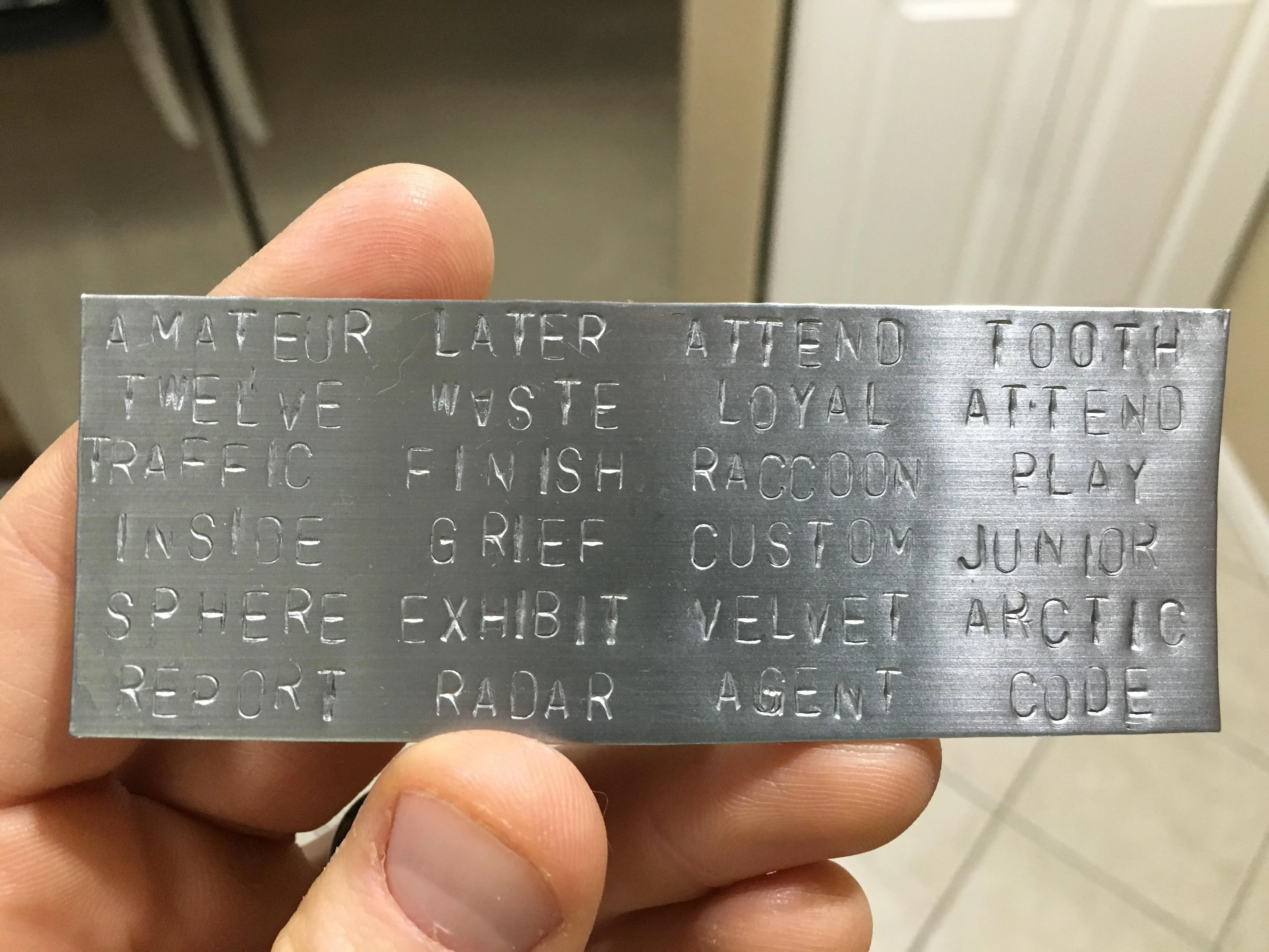 A photo of a person holding a metal plate with 24 words stamped into it in all capitals.